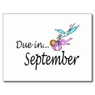 Due In September (Baby/Stork) Postcard