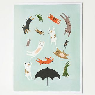 raining cats and dogs poster by sarah & bendrix