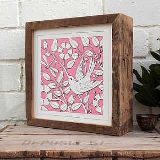 handmade framed illustrative bird prints by coulson macleod