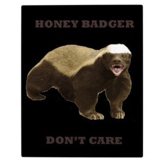 Honey Badger Don't Care On Black Background. Funny Display Plaques