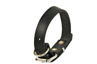 Dean and Tyler "B and B", Basic Leather Dog Collar with Strong Nickel Hardware   Black   Size 12 Inch by 1 Inch   Fits Neck 10 Inch to 14 Inch  Pet Collars 