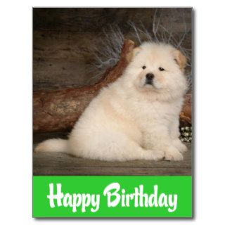 Happy Birthday Chow Chow Puppy Dog Green Postcard