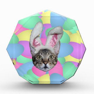 Easter Cat Bunny Ears Award
