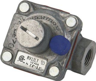 Pentair 470771 Natural Gas Pilot Regulator Replacement Commercial Pool and Spa Heater  Outdoor Spas  Patio, Lawn & Garden