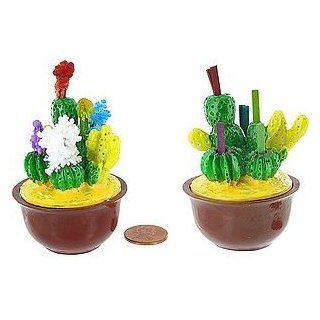 Magic Growing Cactus Toys & Games