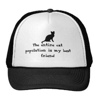 The entire cat population is my best friend hats