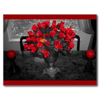 Romantic Red Roses Antique Vase Color Splash photo Post Cards