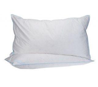 Northern Nights Set of 2 KG White Goose Microfeather Pillows —