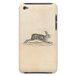 Vintage Hare Bunny Rabbit 1800s Illustration iPod Case Mate Cases