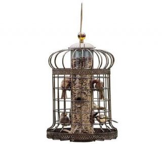 Duncraft Victorian Globe Cage Decorative Wild Bird Feeder —