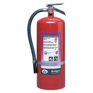 20 lb Purple K Extinguisher w/ Wall Hook Automotive