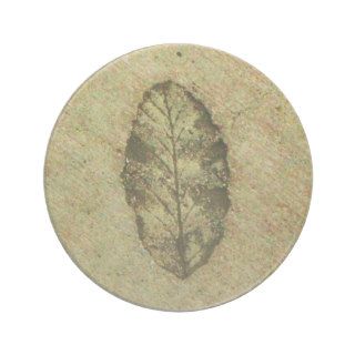 Leaf Fossil Drink Coasters