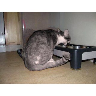 OurPets Signature Series Elevated Feeder 4"  Raised Pet Bowls 