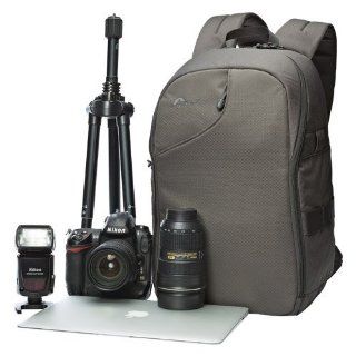 Lowepro LP36577 PWW 350 AW Transit Backpack 350 AW (Slate Grey)  Camera Cases  Camera & Photo