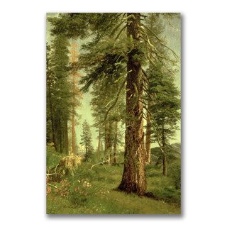 Albert Bierstadt 'California Redwoods' Canvas Art Trademark Fine Art Canvas