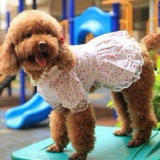Dog Fashion Dress Skirt for Pet's Style Clothing Polka Dot Hearts Design Size S 