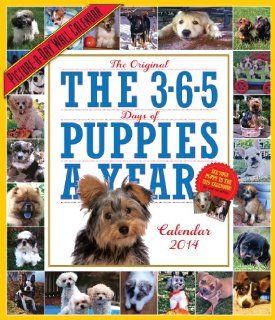 365 Days of Puppies   2014 Picture a Day Calendar   Wall Calendars