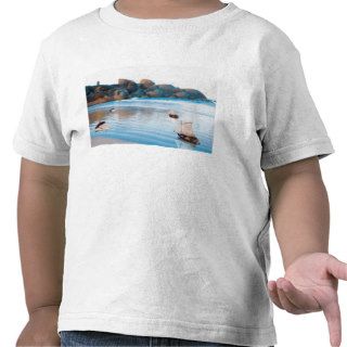 Toy Boats on Rocky Beach Shirt