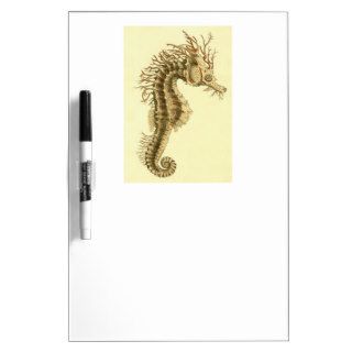 Seahorse Skeleton Illustration Dry Erase White Board