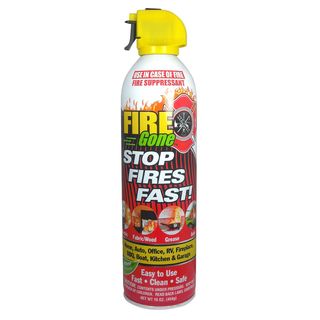 Max Professional Fire Gone Portable Extinguisher