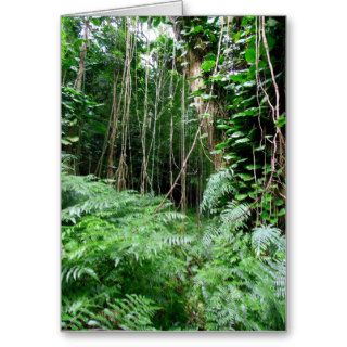 Hawaiian Tropical Rain Forest Cards