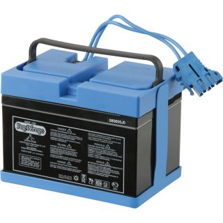 Peg Perego Replacement Battery for Kids Riding Vehicles   12 Volt, Model