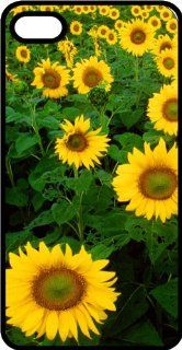 Field Of Healthy Sunflowers Black Rubber Case for Apple iPhone 4 or iPhone 4s Cell Phones & Accessories