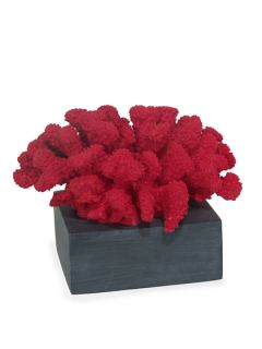 Coral Decor by Three Hands