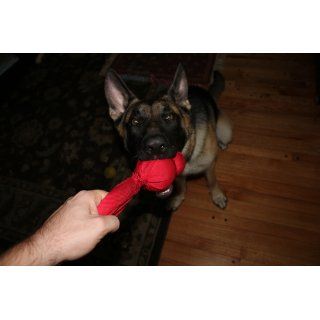 KONG Wubba Dog Toy, Large, Colors Vary  Pet Toy Balls 