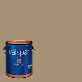 Creative Ideas for Color by Valspar 1 Gallon Interior Satin Hot Stone Latex Base Paint and Primer in One