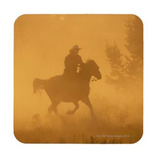 Cowgirl Riding in the Dust Coaster