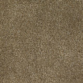 Dixie Group Trusoft Shafer Valley 108 Brown Cut Pile Indoor Carpet