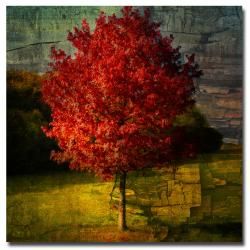 Philippe Sainte Laudy 'Autumn Red' Canvas Art Trademark Fine Art Canvas