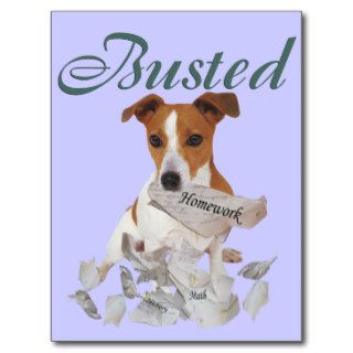 Jack Russel Busted Post Card