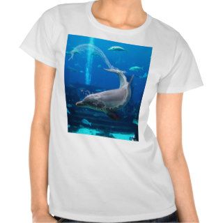atlantis Dolphin Swim Shirt