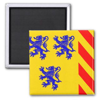 Limousin (Alternate), France flag Fridge Magnet