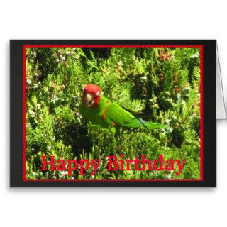 Cherry headed Conure Happy Birthday Cards