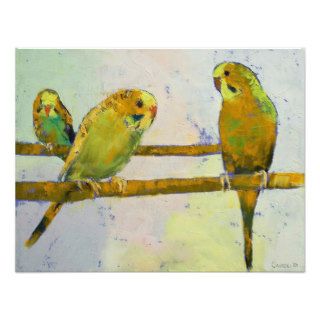 Three Parakeets Invitation