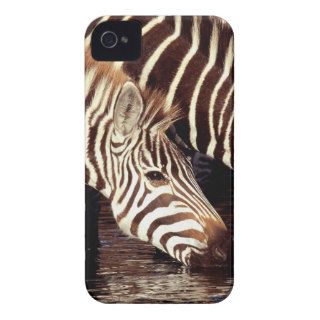 Zebra At Water Hole Kenya iPhone 4 Covers