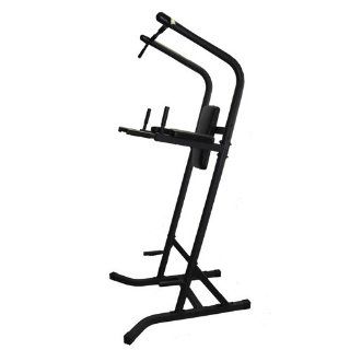 Amber Sporting Goods Space Saver VKR Workout Tower  Exercise Power Stands  Sports & Outdoors