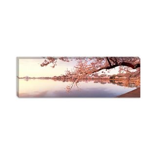 iCanvasArt Panoramic Cherry Blossoms at The Lakeside, Washington, D.C