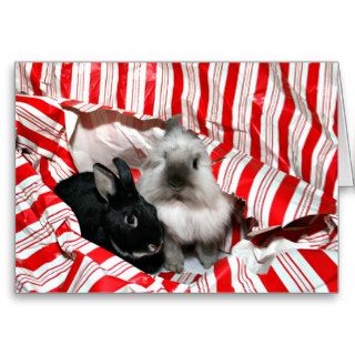 Peekaboo Christmas bunnies Cards
