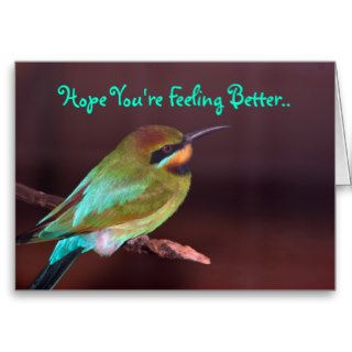 Hope You're Feeling Better, humming bird Cards