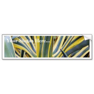 An Agave Cactus Not Blue Agave Though Bumper Sticker