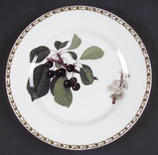 Rosina Queens HookerS Fruit (Bone, Made In India) Salad/Dessert Plate, Fine Chi