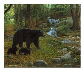 Michael Matherly   550 Pc Puzzle   Early Morning Black Bears Toys & Games