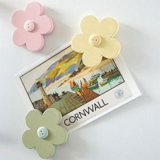cornish daisy magnets by lillies