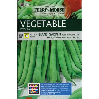 Ferry Morse Beans Garden Bush Blue Lake 156 Vegetable Seed Packet