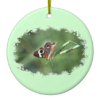Common Buckeye Butterfly Ornament