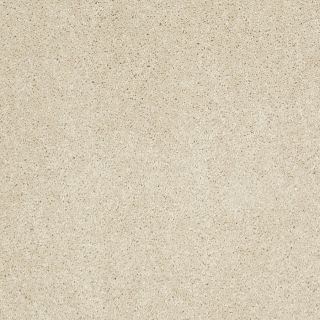 STAINMASTER Trusoft Luscious III Bone Textured Indoor Carpet